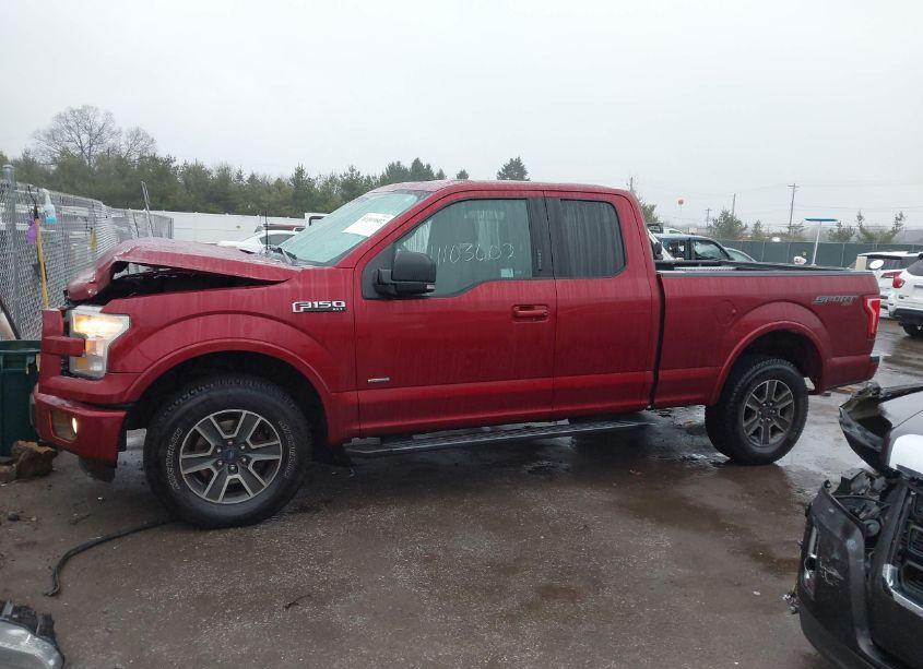 Photo 15 of 2016 Ford F-150 XLT (VIN 1FTFX1EG4GFA61229)