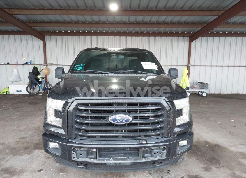 Photo 13 of 2016 Ford F-150 XLT (VIN 1FTFX1EG7GKF53891)