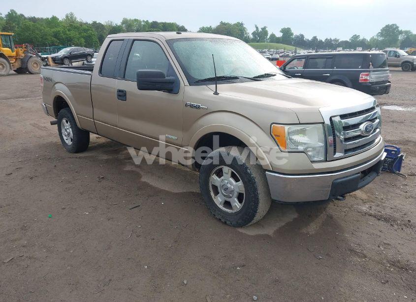 2011 Ford F-150 XLT (VIN 1FTFX1ET0BFA88403) main photo