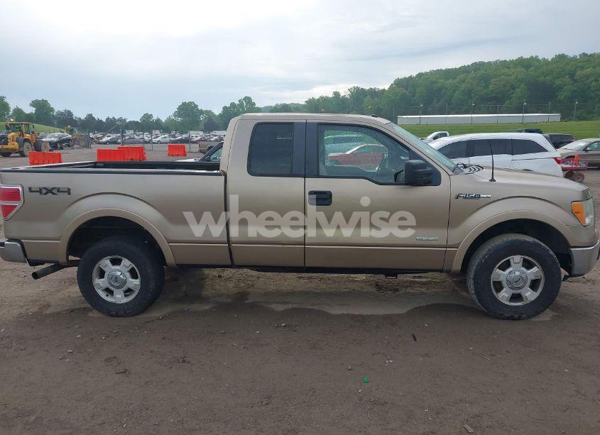 Photo 13 of 2011 Ford F-150 XLT (VIN 1FTFX1ET0BFA88403)