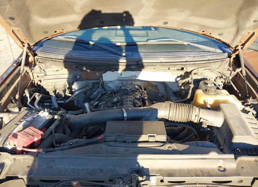 Photo 10 of 2011 Ford F-150 XLT (VIN 1FTFX1ET1BFA67169)