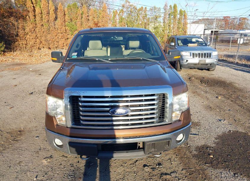 Photo 12 of 2011 Ford F-150 XLT (VIN 1FTFX1ET1BFA67169)