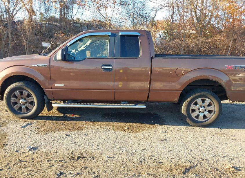 Photo 14 of 2011 Ford F-150 XLT (VIN 1FTFX1ET1BFA67169)