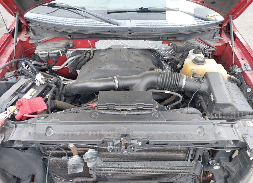 Photo 10 of 2013 Ford F-150 XLT (VIN 1FTFX1ET1DFC38361)