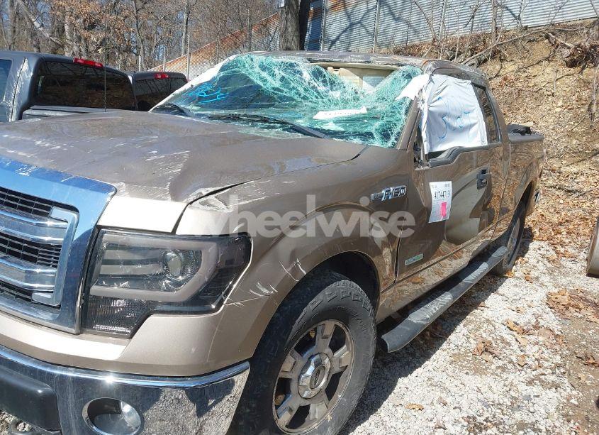 Photo 12 of 2013 Ford F-150 XLT (VIN 1FTFX1ET1DFD65904)