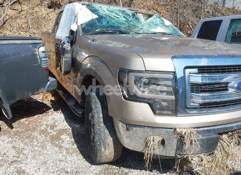 Photo 21 of 2013 Ford F-150 XLT (VIN 1FTFX1ET1DFD65904)