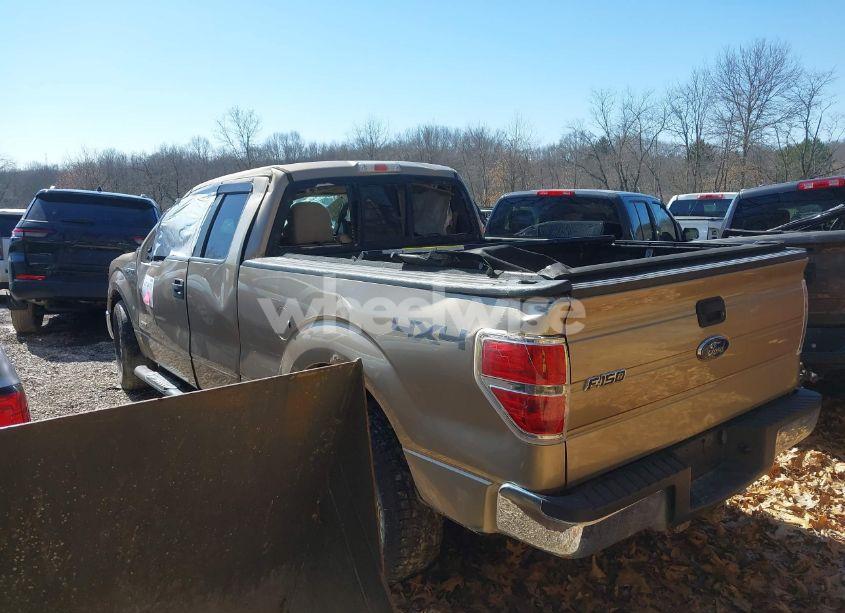 Photo 3 of 2013 Ford F-150 XLT (VIN 1FTFX1ET1DFD65904)