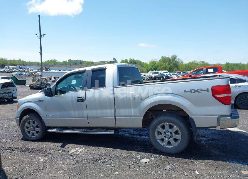 Photo 14 of 2013 Ford F-150 XLT (VIN 1FTFX1ET2DFB87307)