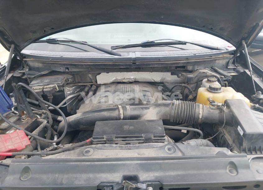 Photo 10 of 2013 Ford F-150 XLT (VIN 1FTFX1ET2DFE00174)