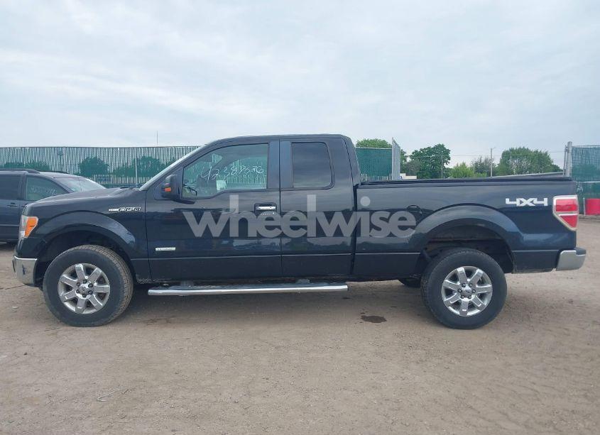 Photo 14 of 2013 Ford F-150 XLT (VIN 1FTFX1ET2DFE00174)