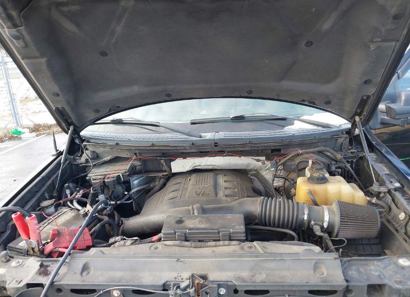 Photo 10 of 2011 Ford F-150 XLT (VIN 1FTFX1ET4BFA54481)