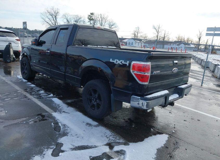 Photo 3 of 2011 Ford F-150 XLT (VIN 1FTFX1ET4BFA54481)