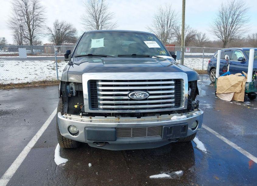 Photo 6 of 2011 Ford F-150 XLT (VIN 1FTFX1ET4BFA54481)