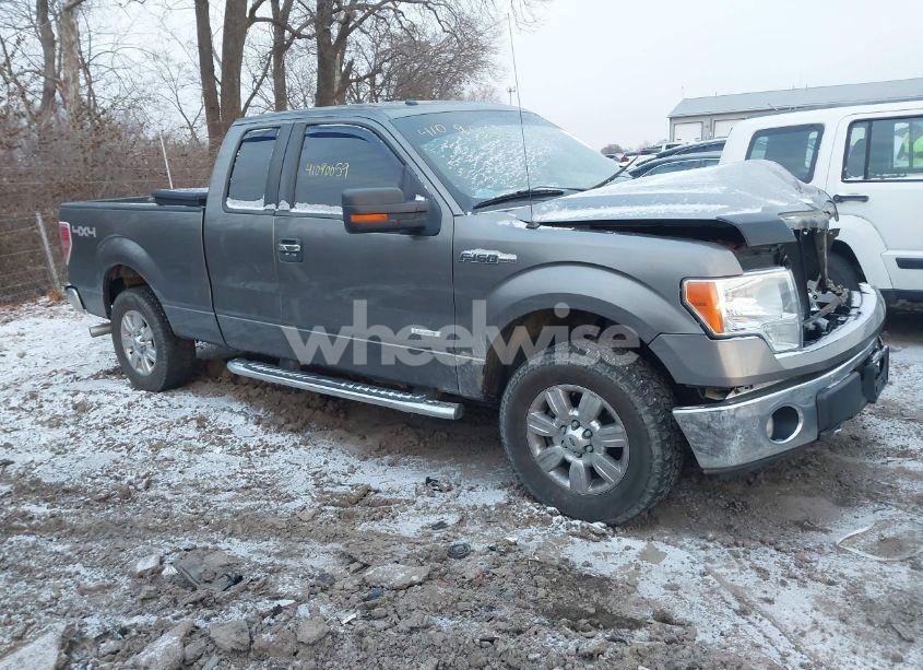 2011 Ford F-150 XLT (VIN 1FTFX1ET4BFB01556) main photo