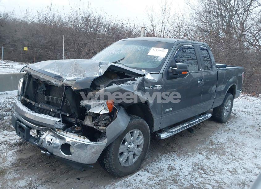 Photo 14 of 2011 Ford F-150 XLT (VIN 1FTFX1ET4BFB01556)
