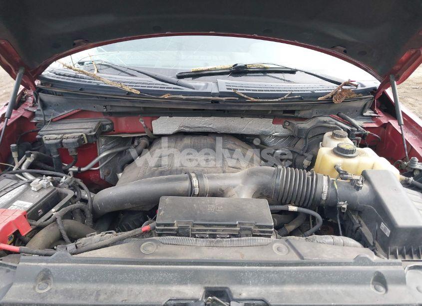 Photo 10 of 2013 Ford F-150 XLT (VIN 1FTFX1ET4DKD05560)