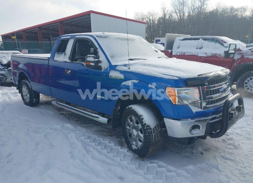 2013 Ford F-150 XLT (VIN 1FTFX1ET4DKF24700) main photo