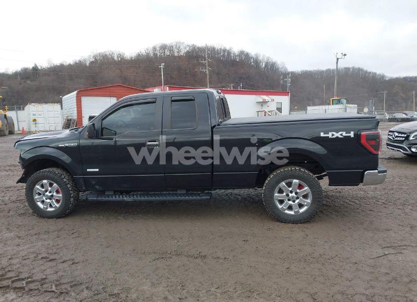 Photo 15 of 2013 Ford F-150 XLT (VIN 1FTFX1ET5DFD98145)