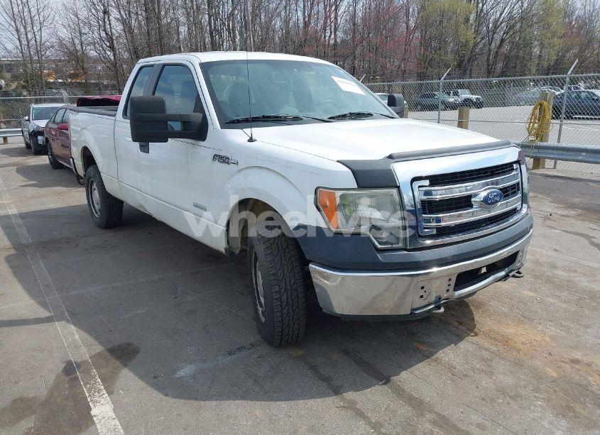 2013 Ford F-150 XL (VIN 1FTFX1ET7DKF44326) main photo
