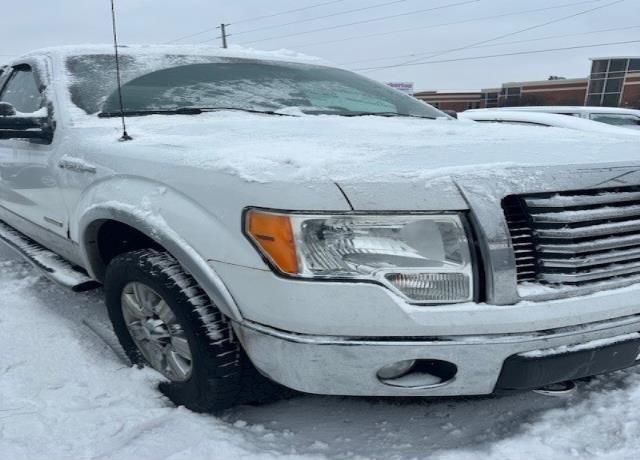 2011 Ford F-150 XLT (VIN 1FTFX1ET8BFA88696) main photo