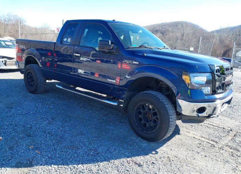 2011 Ford F-150 XLT (VIN 1FTFX1ET8BFC34546) main photo