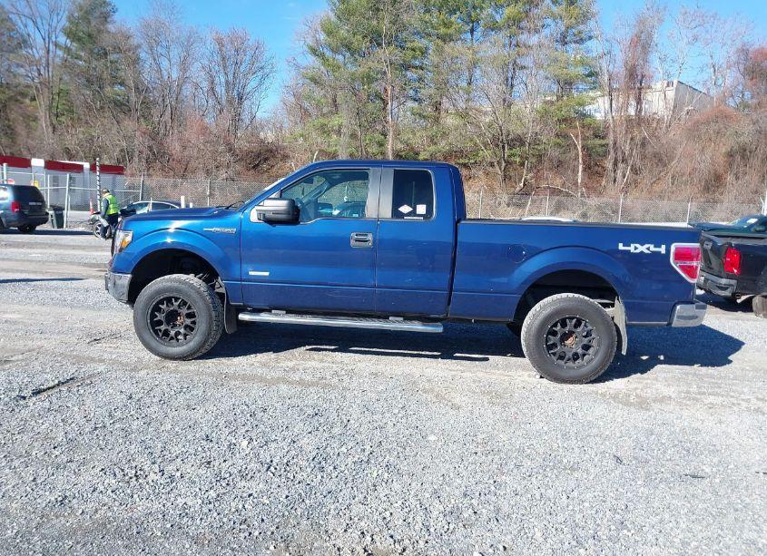 Photo 14 of 2011 Ford F-150 XLT (VIN 1FTFX1ET8BFC34546)