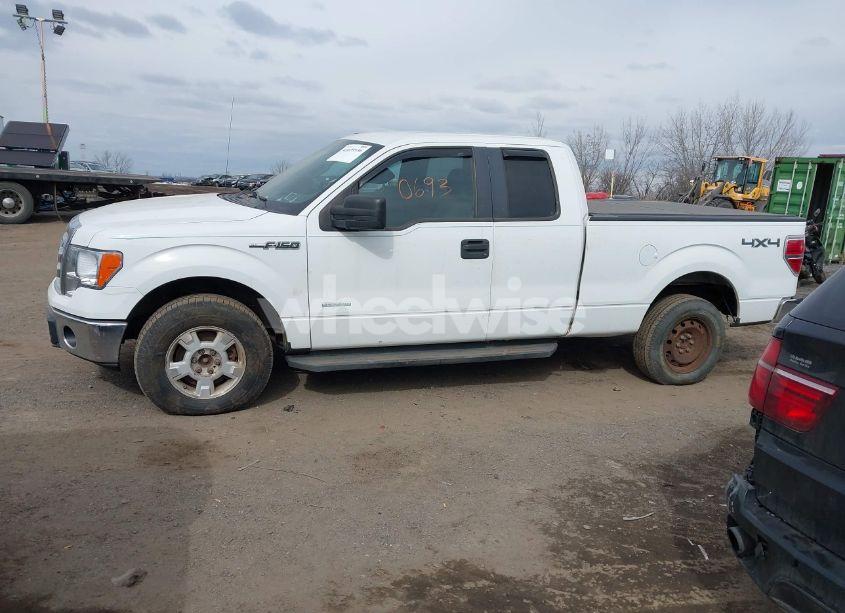 Photo 14 of 2011 Ford F-150 XLT (VIN 1FTFX1ET8BKE12737)