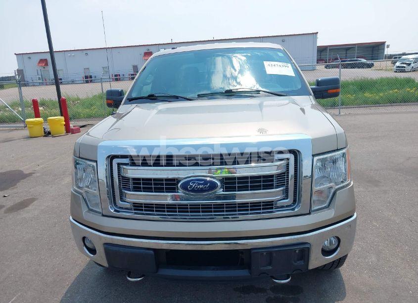 Photo 12 of 2013 Ford F-150 XLT (VIN 1FTFX1ET8DFB90728)