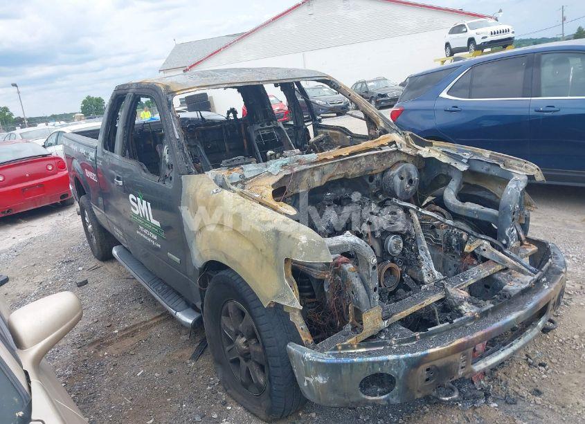 2014 Ford F-150 XLT (VIN 1FTFX1ET8EFC89776) main photo