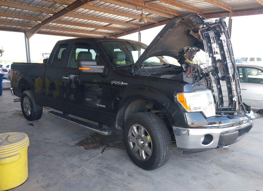 2014 Ford F-150 XLT (VIN 1FTFX1ET9EFA43173) main photo