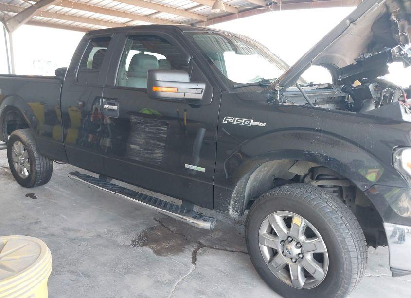 Photo 13 of 2014 Ford F-150 XLT (VIN 1FTFX1ET9EFA43173)