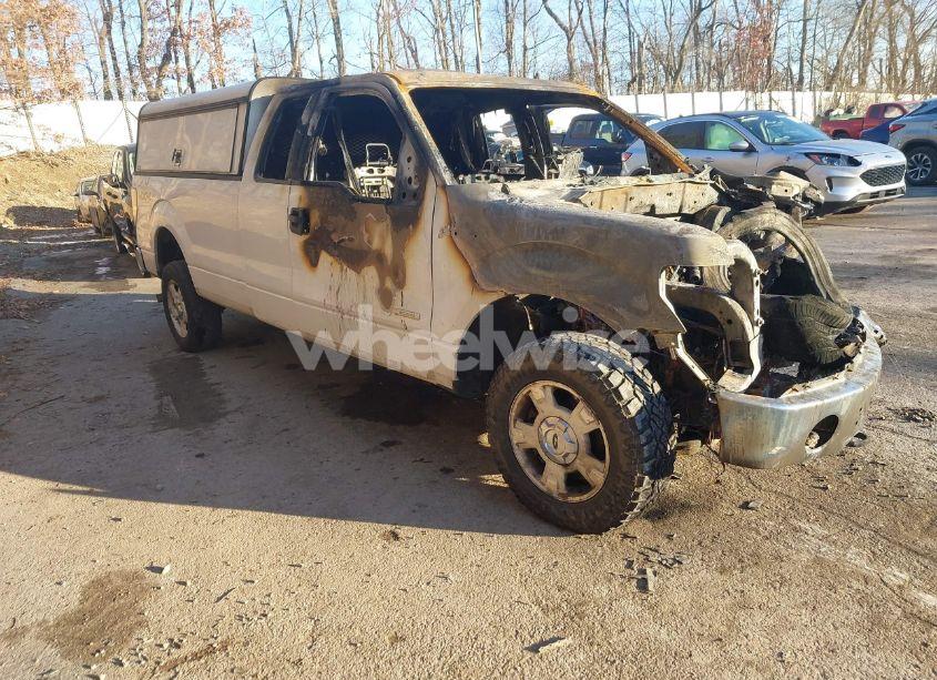 2014 Ford F-150 XLT (VIN 1FTFX1ET9EKF11331) main photo