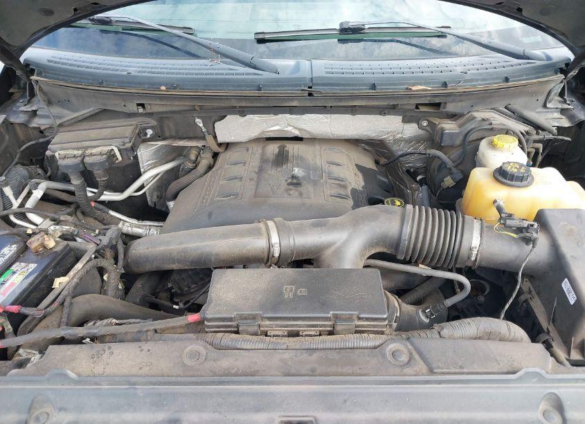 Photo 10 of 2014 Ford F-150 XLT (VIN 1FTFX1ETXEKF61476)