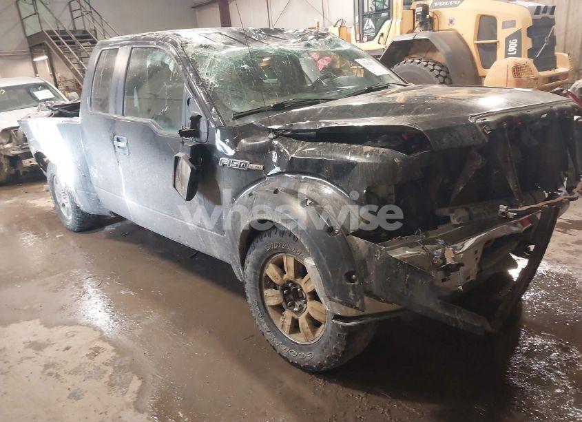 2010 Ford F-150 FX4/LARIAT/XL/XLT (VIN 1FTFX1EV0AFA64313) main photo