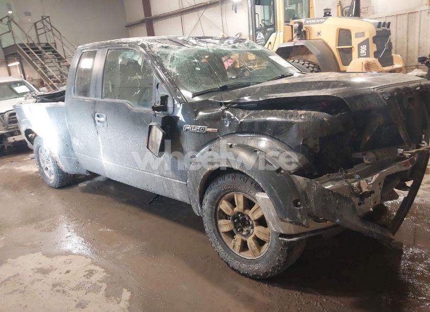 Photo 13 of 2010 Ford F-150 FX4/LARIAT/XL/XLT (VIN 1FTFX1EV0AFA64313)