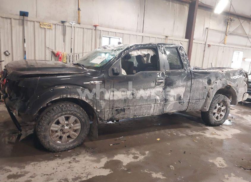 Photo 14 of 2010 Ford F-150 FX4/LARIAT/XL/XLT (VIN 1FTFX1EV0AFA64313)