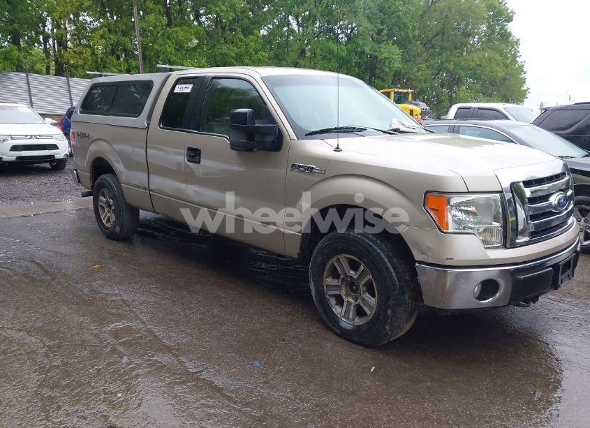 2010 Ford F-150 FX4/LARIAT/XL/XLT (VIN 1FTFX1EV0AFC83319) main photo