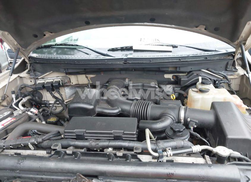 Photo 10 of 2010 Ford F-150 FX4/LARIAT/XL/XLT (VIN 1FTFX1EV0AFC83319)