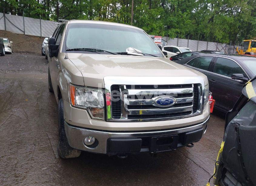 Photo 12 of 2010 Ford F-150 FX4/LARIAT/XL/XLT (VIN 1FTFX1EV0AFC83319)
