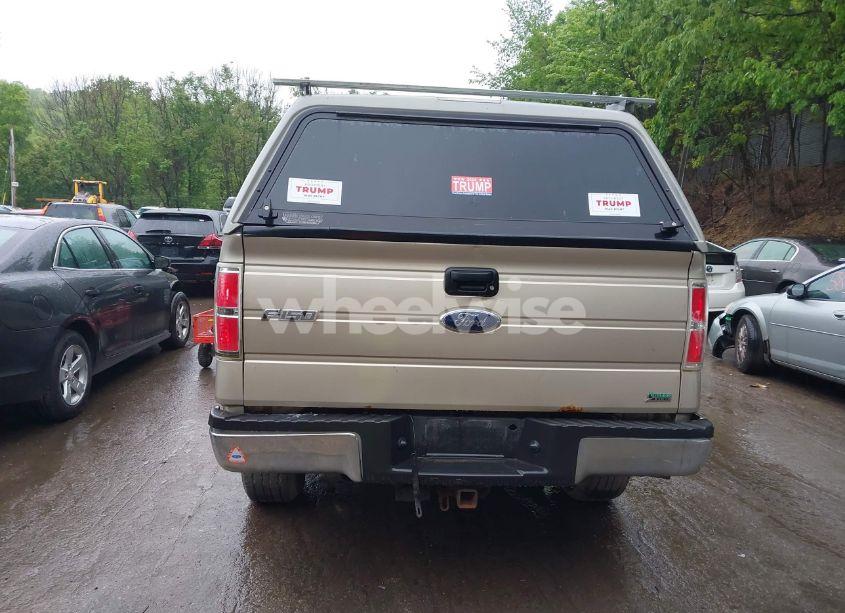 Photo 16 of 2010 Ford F-150 FX4/LARIAT/XL/XLT (VIN 1FTFX1EV0AFC83319)