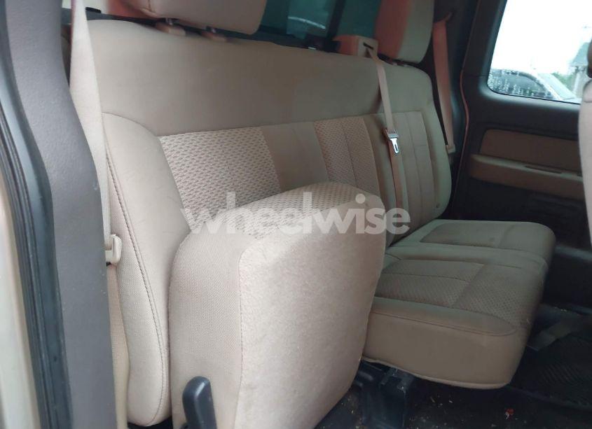 Photo 8 of 2010 Ford F-150 FX4/LARIAT/XL/XLT (VIN 1FTFX1EV0AFC83319)