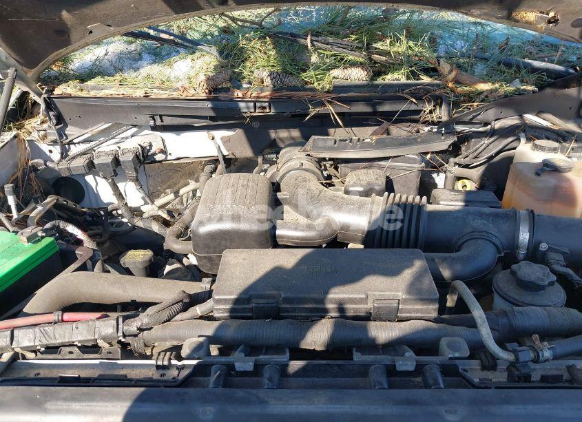 Photo 10 of 2010 Ford F-150 FX4/LARIAT/XL/XLT (VIN 1FTFX1EV0AKE30178)