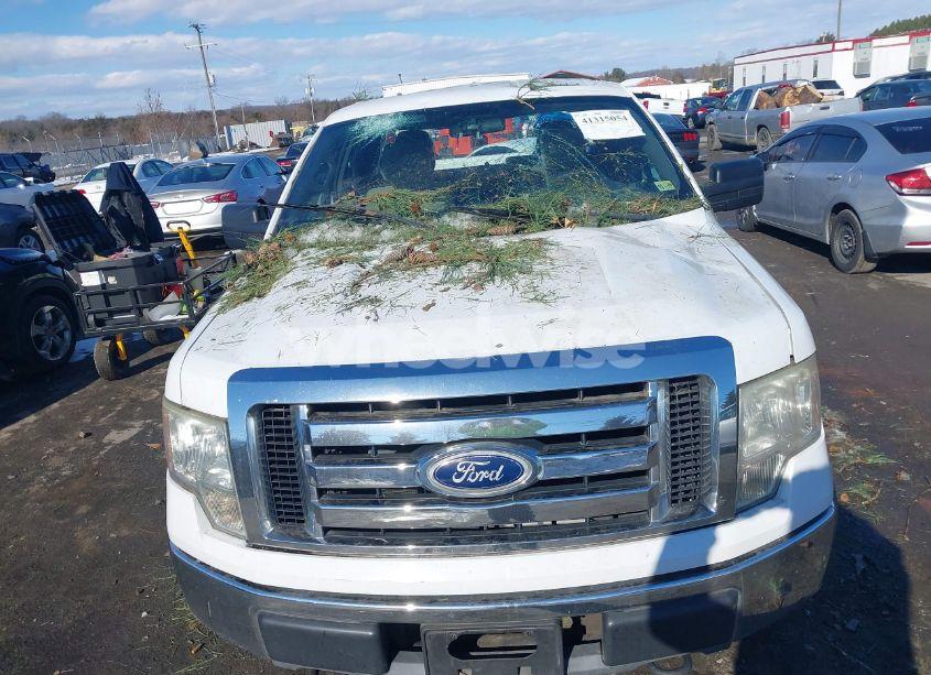 Photo 12 of 2010 Ford F-150 FX4/LARIAT/XL/XLT (VIN 1FTFX1EV0AKE30178)