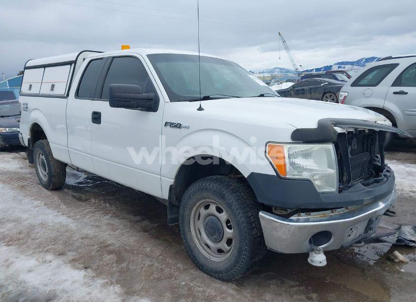 2010 Ford F-150 FX4/LARIAT/XL/XLT (VIN 1FTFX1EV0AKE32058) main photo