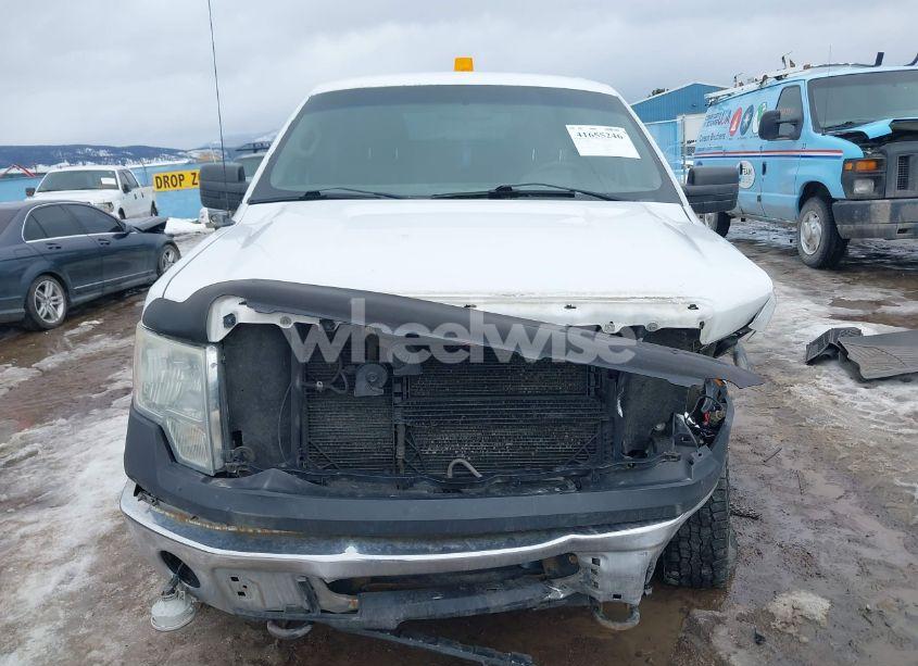 Photo 12 of 2010 Ford F-150 FX4/LARIAT/XL/XLT (VIN 1FTFX1EV0AKE32058)