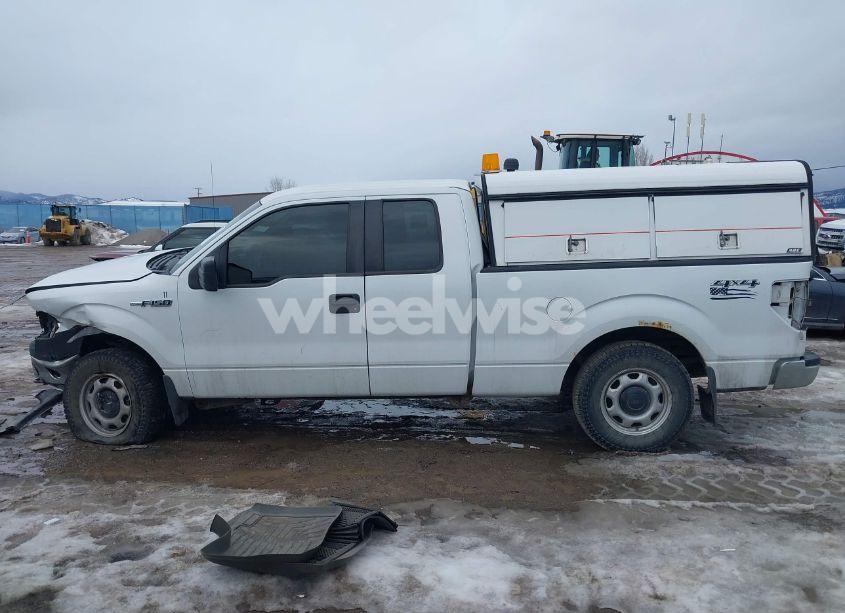 Photo 14 of 2010 Ford F-150 FX4/LARIAT/XL/XLT (VIN 1FTFX1EV0AKE32058)