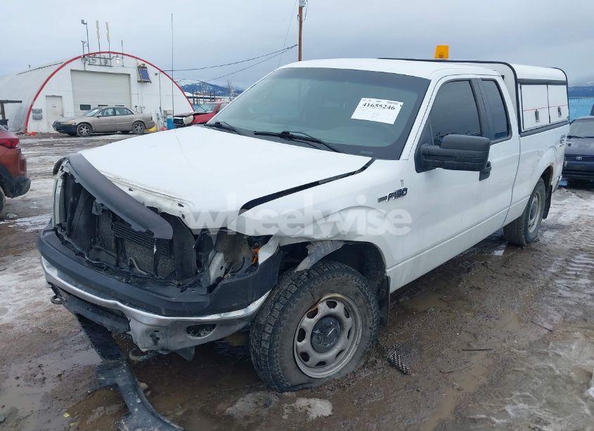 Photo 6 of 2010 Ford F-150 FX4/LARIAT/XL/XLT (VIN 1FTFX1EV0AKE32058)