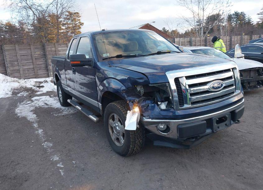 2010 Ford F-150 FX4/LARIAT/XL/XLT (VIN 1FTFX1EV1AFC67453) main photo
