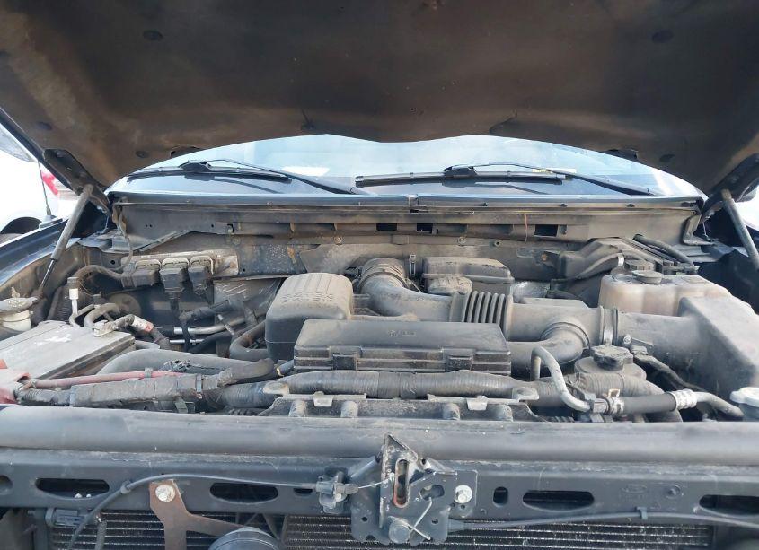 Photo 10 of 2010 Ford F-150 FX4/LARIAT/XL/XLT (VIN 1FTFX1EV1AFC67453)