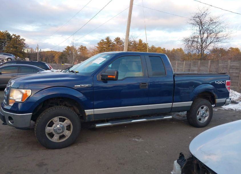 Photo 14 of 2010 Ford F-150 FX4/LARIAT/XL/XLT (VIN 1FTFX1EV1AFC67453)